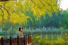 九转轮回手游官网下载-探索九转轮回手游,官网下载指南与游戏特色剖析