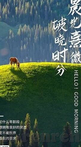 六月28日2点世界杯-六月28日2点，世界杯的激情时刻